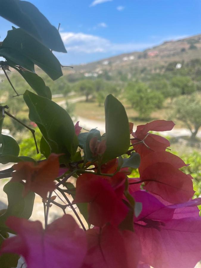 דירות Otziás Κτήμα Ειρήνη מראה חיצוני תמונה